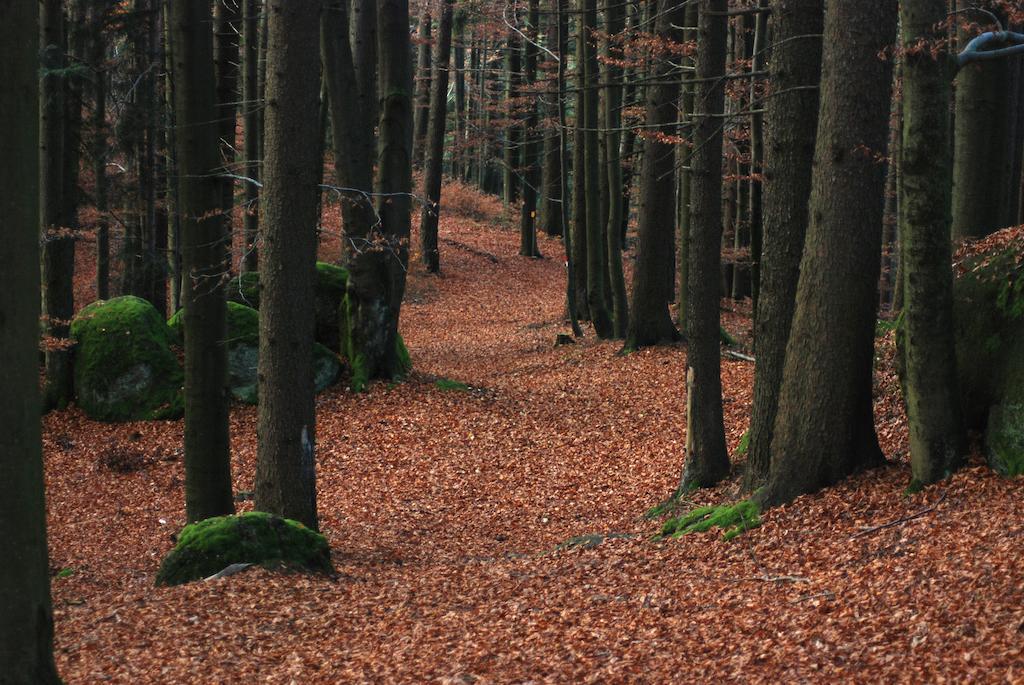 Gasthof Und Pension Haunschmid Rechberg Dış mekan fotoğraf