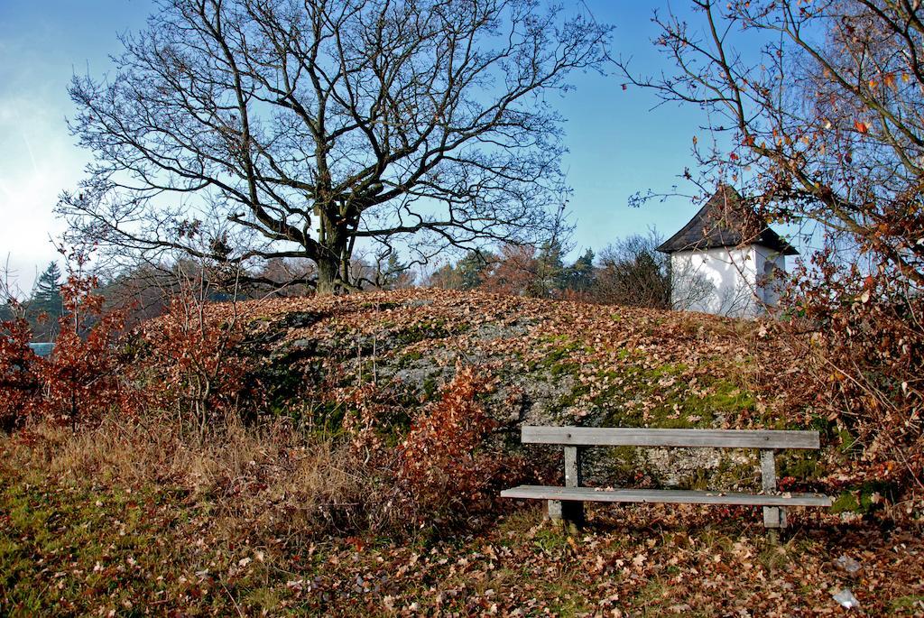 Gasthof Und Pension Haunschmid Rechberg Dış mekan fotoğraf